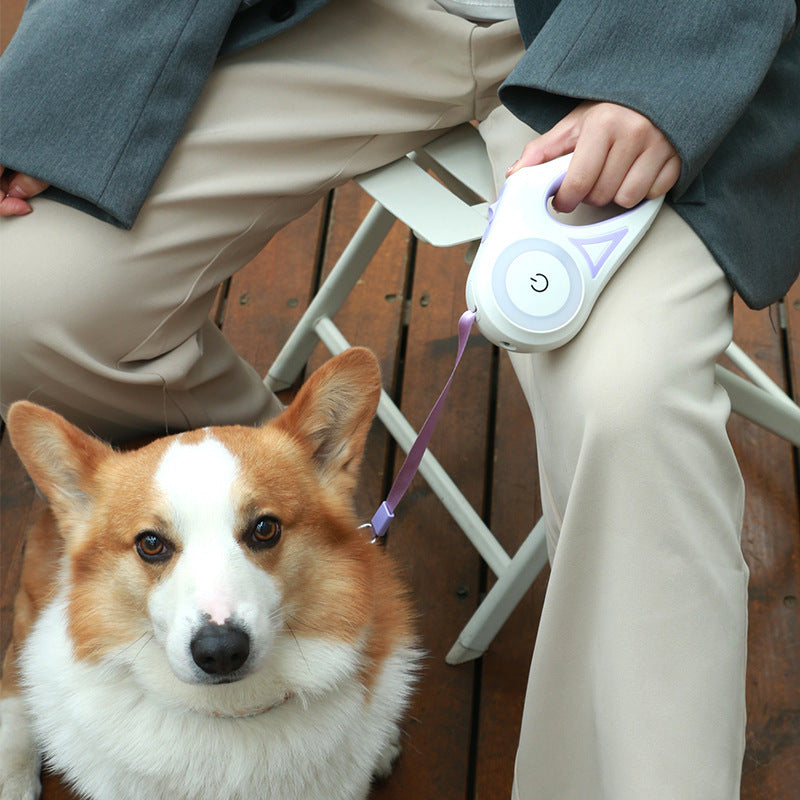 Dog Leash Retractable with Colorful Streamer